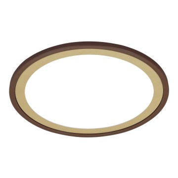 Briloner 7454-417 - Стельовий LED світильник DECO LED/18W/230V