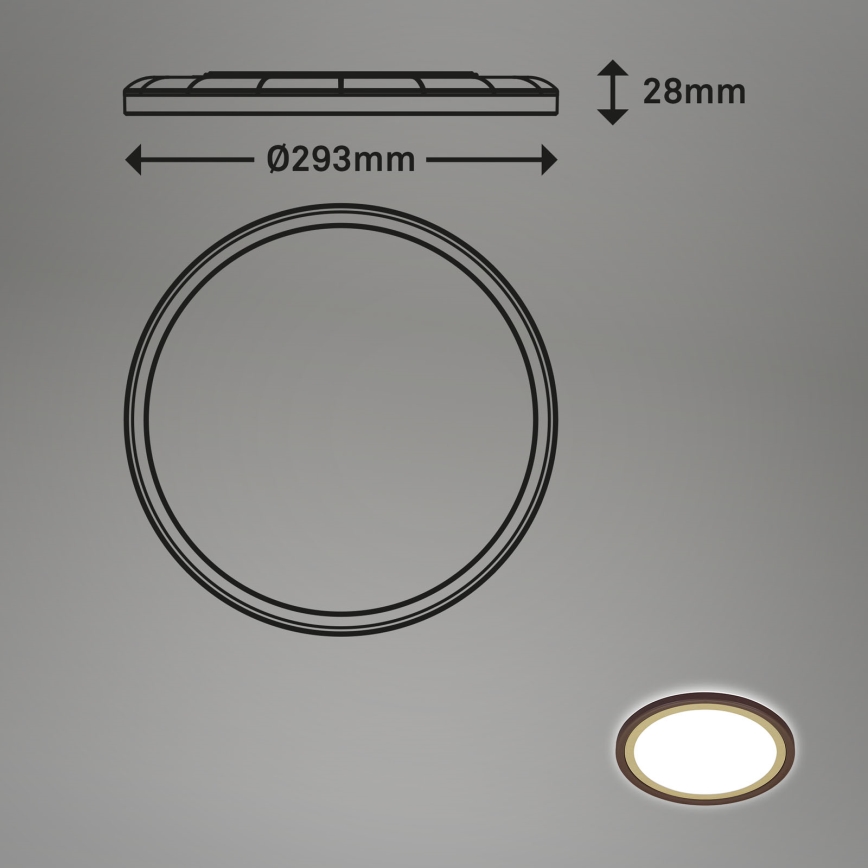 Briloner 7454-417 - Светодиодный потолочный светильник DECO LED/18W/230V