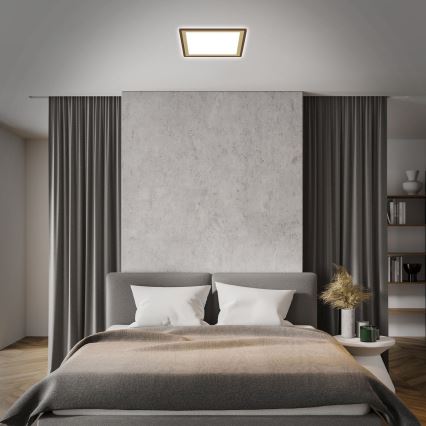 Briloner 7459-417 - Світлодіодний регульований стельовий світильник DECO LED/24W/230V 2700-6500K + дистанційне керування