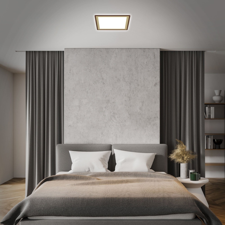 Briloner 7459-417 - Світлодіодний регульований стельовий світильник DECO LED/24W/230V 2700-6500K + дистанційне керування