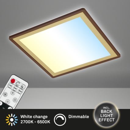 Briloner 7459-417 - Світлодіодний регульований стельовий світильник DECO LED/24W/230V 2700-6500K + дистанційне керування