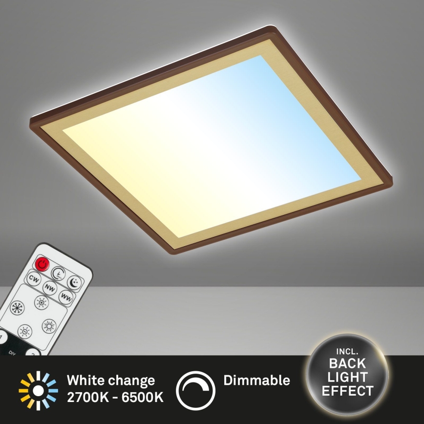 Briloner 7459-417 - Світлодіодний регульований стельовий світильник DECO LED/24W/230V 2700-6500K + дистанційне керування