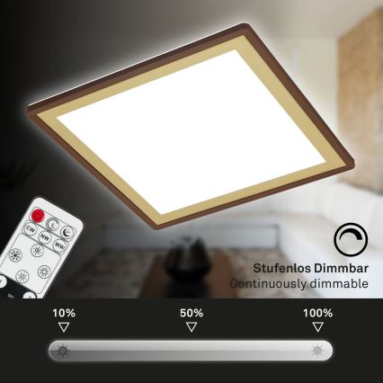 Briloner 7459-417 - Світлодіодний регульований стельовий світильник DECO LED/24W/230V 2700-6500K + дистанційне керування