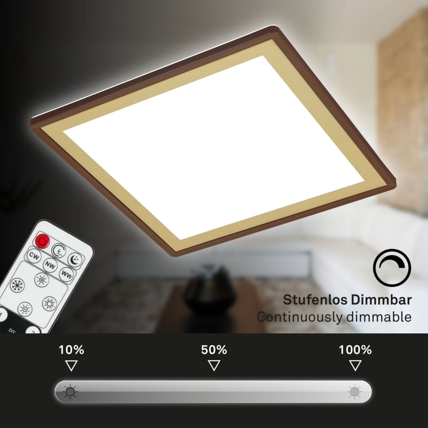 Briloner 7459-417 - Світлодіодний регульований стельовий світильник DECO LED/24W/230V 2700-6500K + дистанційне керування