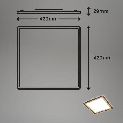 Briloner 7459-417 - Світлодіодний регульований стельовий світильник DECO LED/24W/230V 2700-6500K + дистанційне керування