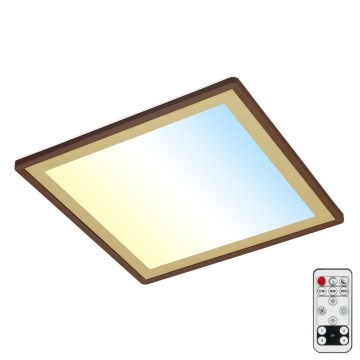 Briloner 7459-417 - Світлодіодний регульований стельовий світильник DECO LED/24W/230V 2700-6500K + дистанційне керування