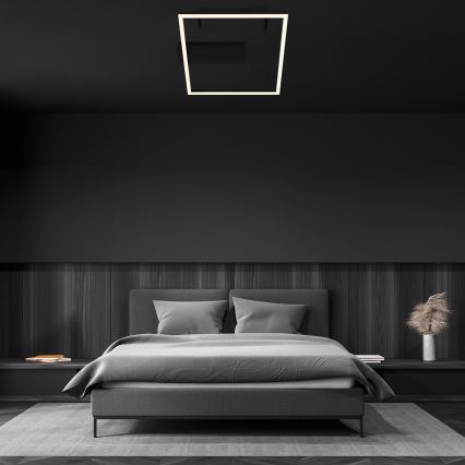 Briloner - LED потолочный светильник FRAME LED/14 Вт/230 В 3000 К 30x32 см черный