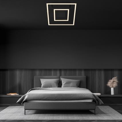 Briloner - LED потолочный светильник FRAME LED/22W/230V 3000K 30x32 cm чёрный