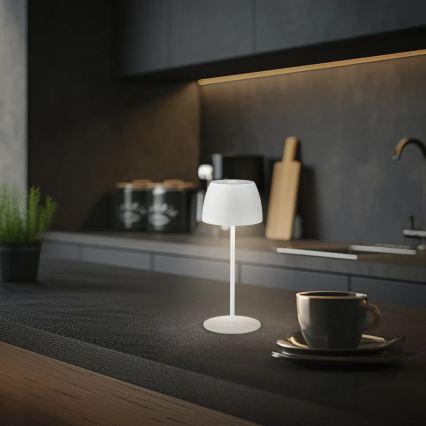 Briloner - диммируемая аккумуляторная сенсорная уличная настольная лампа MINI LED/2,5W/5V IP44 1800 mAh белая