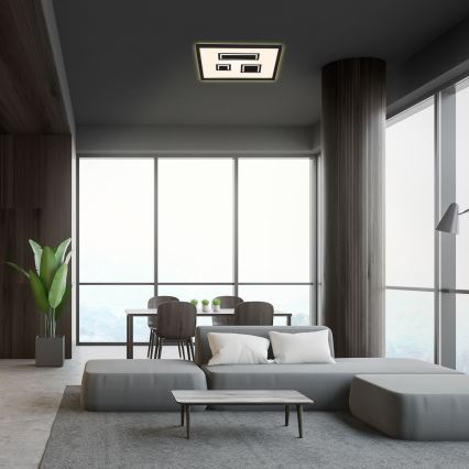 Briloner - Стельовий LED світильник PAC LED/22W/230V