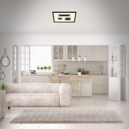 Briloner - Стельовий LED світильник PAC LED/22W/230V