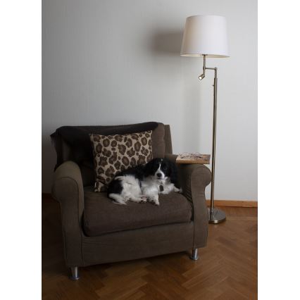ByRydens - Светодиодный торшер ORLANDO 1xE27/5W/230V + LED/3W белый/бронзовый диаметр 36 см