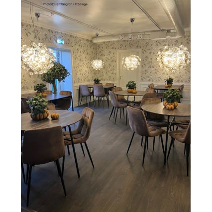 ByRydens - Підвісна люстра GROSS 8xG9/4W/230V димчастий/коричневий діаметр 50 см