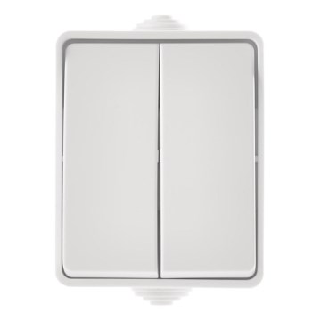 Бытовой серийный выключатель 250V/10A IP54