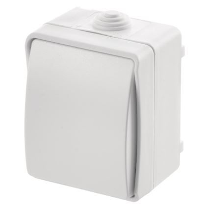 Бытовой выключатель переменного тока 250V/10A IP54
