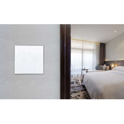 Бытовой выключатель SWITCH 2x1000W/5A Wi-Fi Tuya