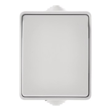 Бытовой выключатель переменного тока 250V/10A IP54