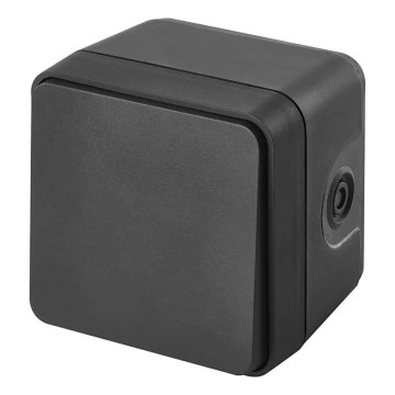 Бытовой выключатель переменного тока 250V/10A IP55