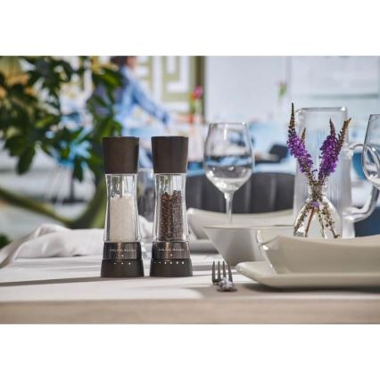 Cole&Mason - Набір млинів для солі та перцю DERWENT 2 шт. 19 см бук/чорний