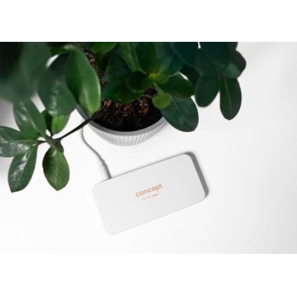 Concept KZ2010 - LED карманное косметическое зеркало PERFECT SKIN LED/1,5W/5V 4500-5500K 300 mAh белое