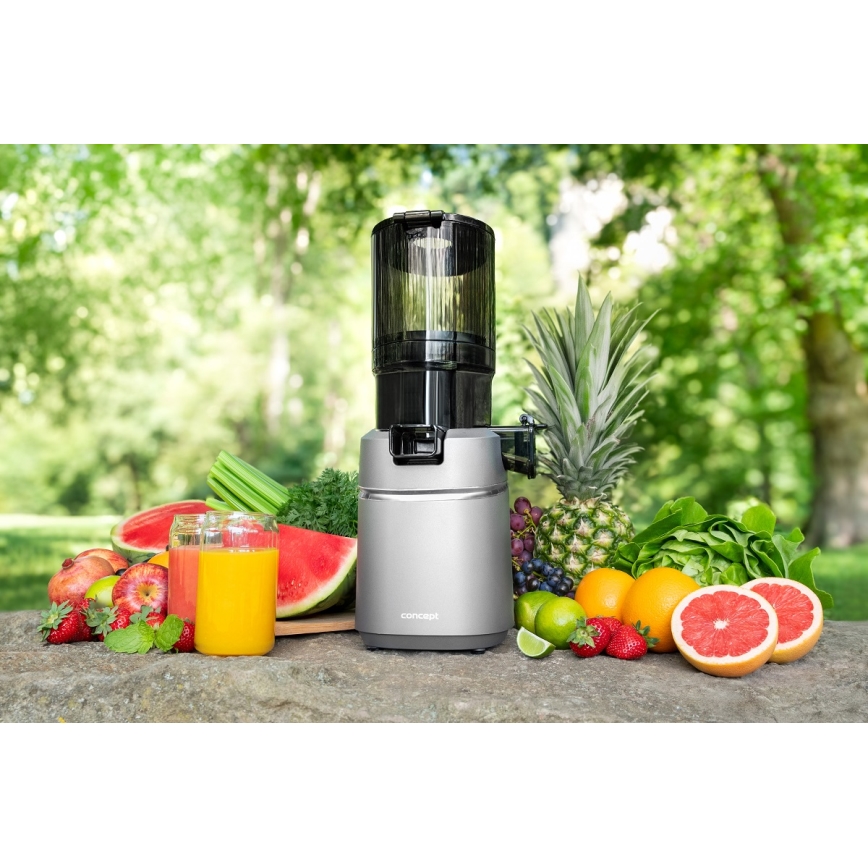 Concept LO7120 - Шнековая соковыжималка JUICY 250W/230V серый