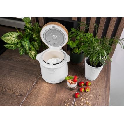 Concept RE3030 - Цифровая рисоварка 2 в 1 380 Вт/230 В 1,5 л белая/декор под дерево