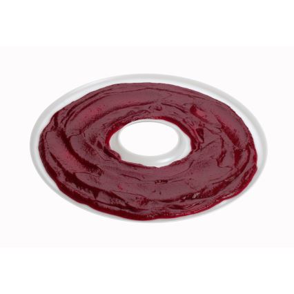 Concept SO2020 - Сушарка для овочів та фруктів (дегідратор) 500W/230V білий