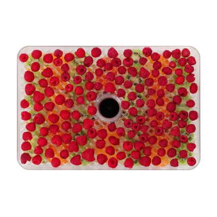 Concept SO2042 - Сушарка для продуктів 500 Вт/230 В чорна + силіконова форма