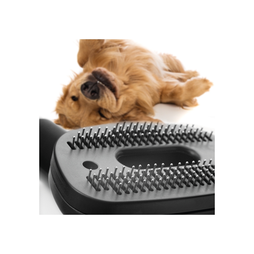 Concept VP5240N - Пылесос без мешка 4A RADICAL PET EXPERT 2,5 л 800W/230V бронзовый