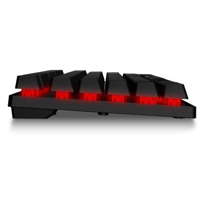 CONNECT IT CKM-3200-CS - Светодиодная проводная игровая RGB клавиатура и игровая мышь 1200/1800/2400/3600 DPI с локализацией CZ/SK черный