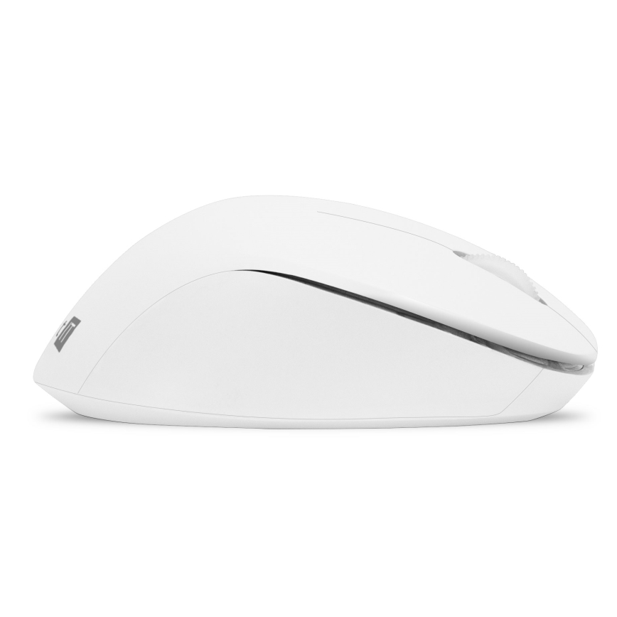CONNECT IT CKM-7804-CS - Беспроводная клавиатура и мышь 1200 DPI с локализацией CZ/SK 1xAAA + 1xAA белый