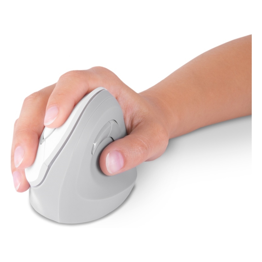 CONNECT IT CMO-2700-WH - Эргономичная беспроводная мышь 800/1200/1600 DPI 1xAA белый