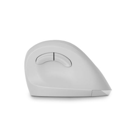 CONNECT IT CMO-2700-WH - Эргономичная беспроводная мышь 800/1200/1600 DPI 1xAA белый