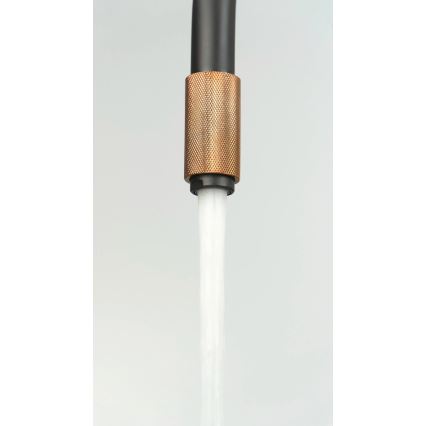 Deante BCA_B64M - змішувач для кухонної мийки ASTER, чорний/латунь