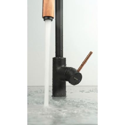 Deante BCA_B64M - змішувач для кухонної мийки ASTER, чорний/латунь