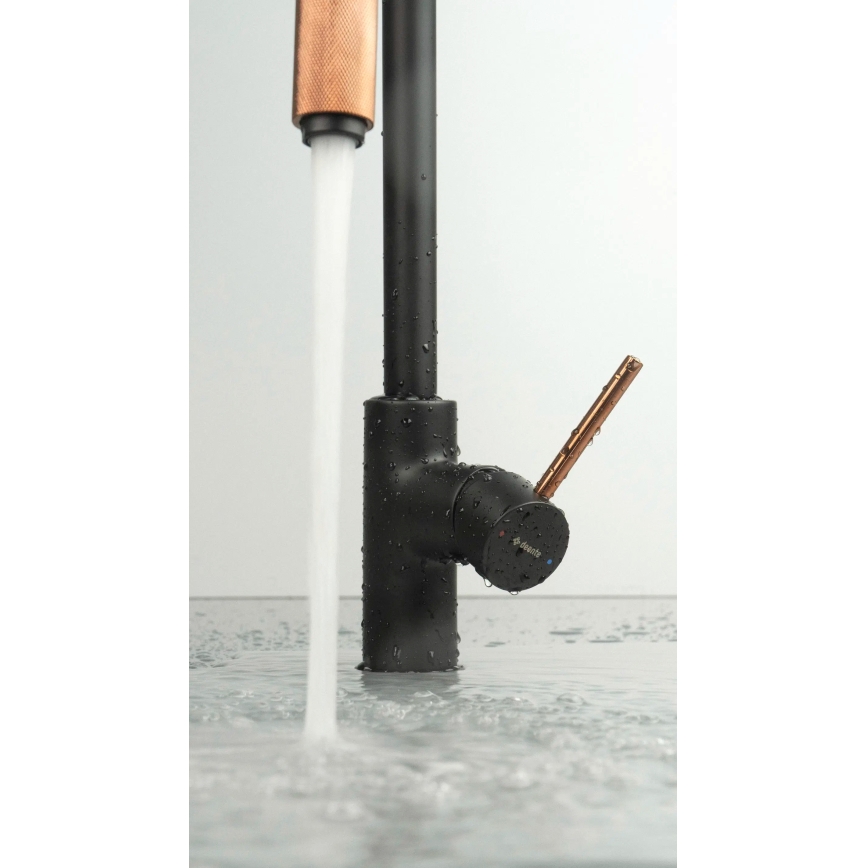 Deante BCA_B64M - змішувач для кухонної мийки ASTER, чорний/латунь