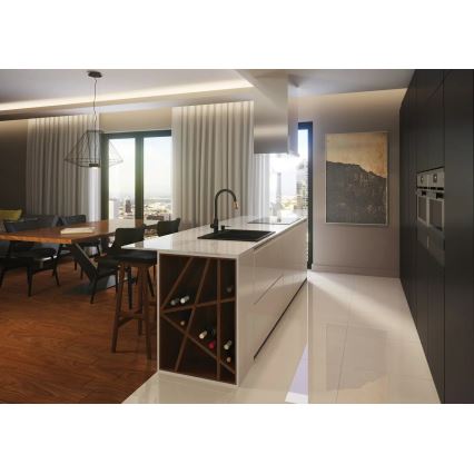 Deante BCA_B64M - змішувач для кухонної мийки ASTER, чорний/латунь