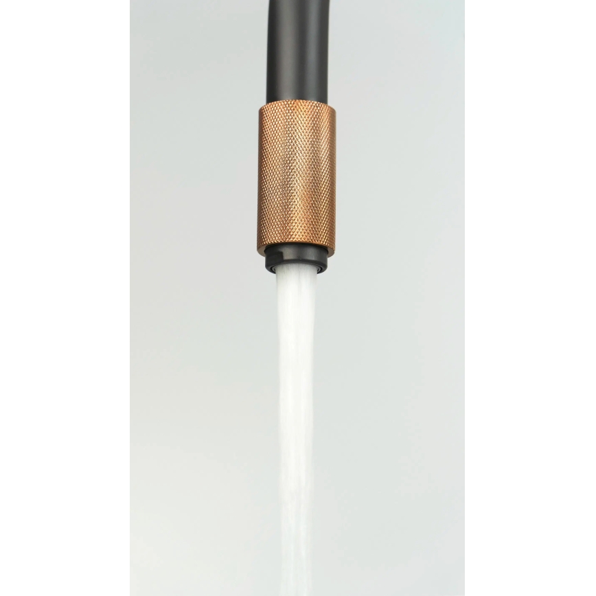 Deante BCA_B64M - Кухонный смеситель ASTER чёрный/латунь