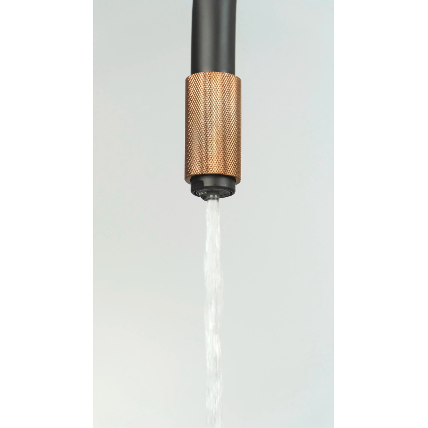 Deante BCA_B64M - Кухонный смеситель ASTER чёрный/латунь