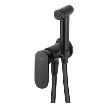 Deante BGA_N34M - смеситель для биде с гигиеническим душем для скрытого монтажа ALPINIA, черный