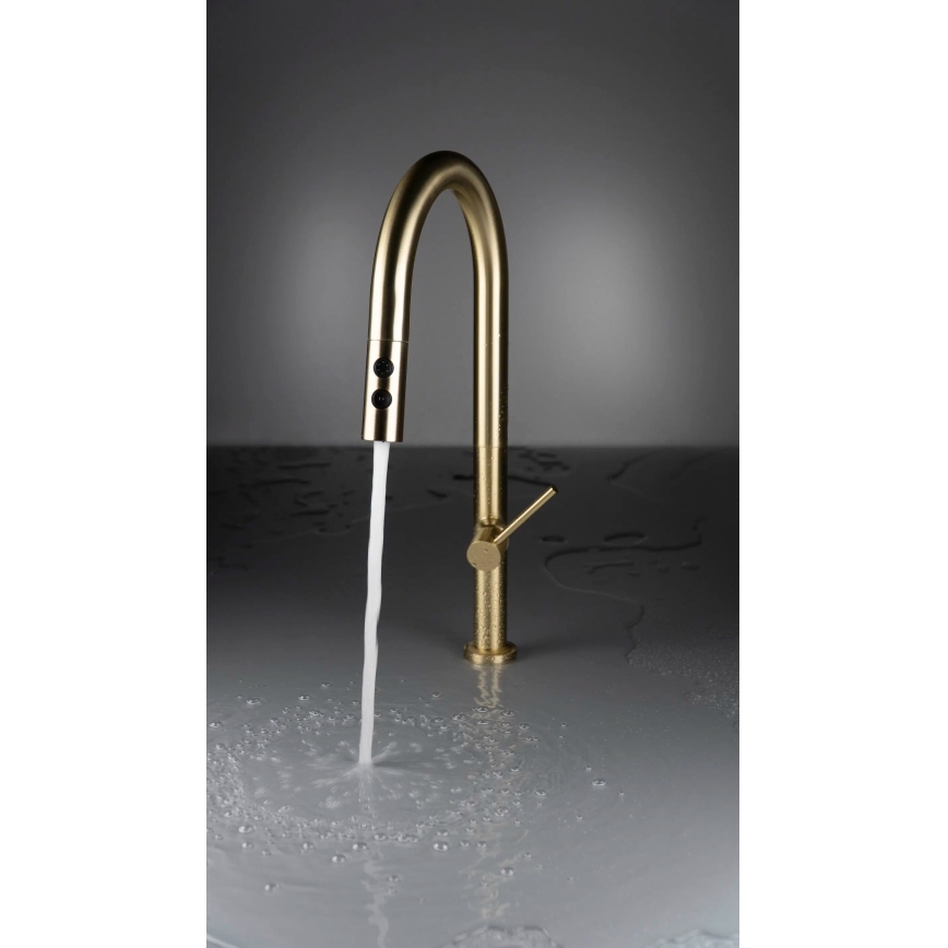 Deante BQO_R72M - Змішувач для раковини з висувним душем OLFATO полірована золотий