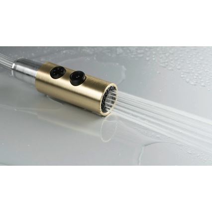 Deante BQO_R72M - Змішувач для раковини з висувним душем OLFATO полірована золотий