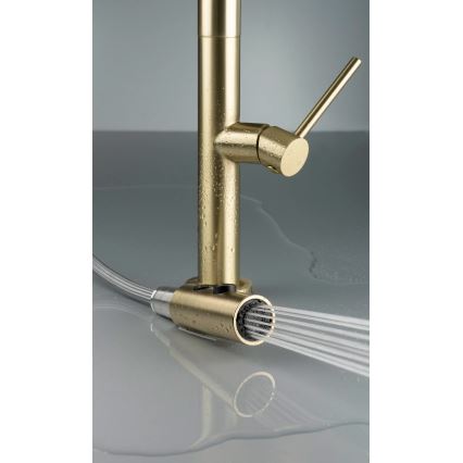Deante BQO_R72M - Змішувач для раковини з висувним душем OLFATO полірована золотий