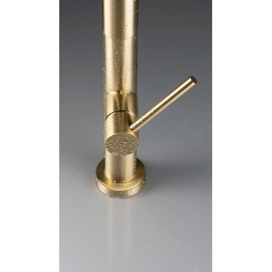 Deante BQO_R72M - Змішувач для раковини з висувним душем OLFATO полірована золотий