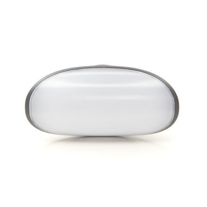 Deko-Light 731078 - Вуличний світлодіодний настінний світильник AVIOR LED/12,7W/230V IP54 антрацит