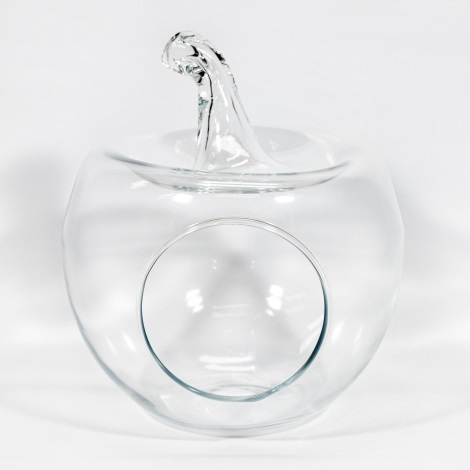 Декоративная стеклянная ваза Apple прозрачный