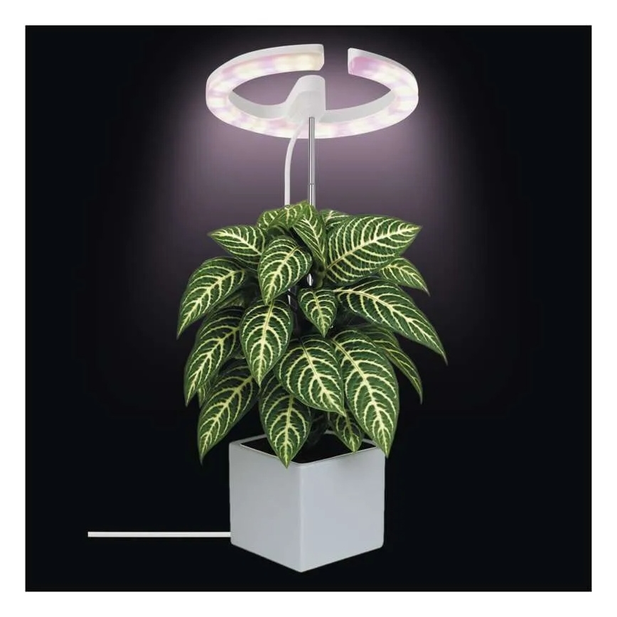 Диммируемая LED-лампа для выращивания растений в помещении GROW LED/8W/5V