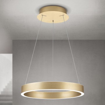 диммируемая LED-люстра на тросе KOLK LED/40W/230V 2700/3000/4000K диаметр 40 см золотая