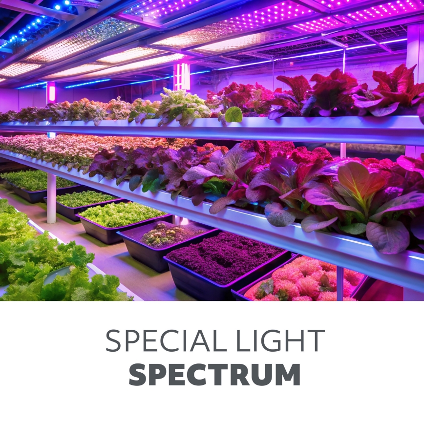 Гибкая LED-настольная лампа VITARO для выращивания растений с регулировкой яркости, 4xLED/10W/230V, чёрная