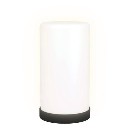 Диммируемая настольная лампа LED RGBIC, 7,5W/230V, 3000K — с пультом дистанционного управления